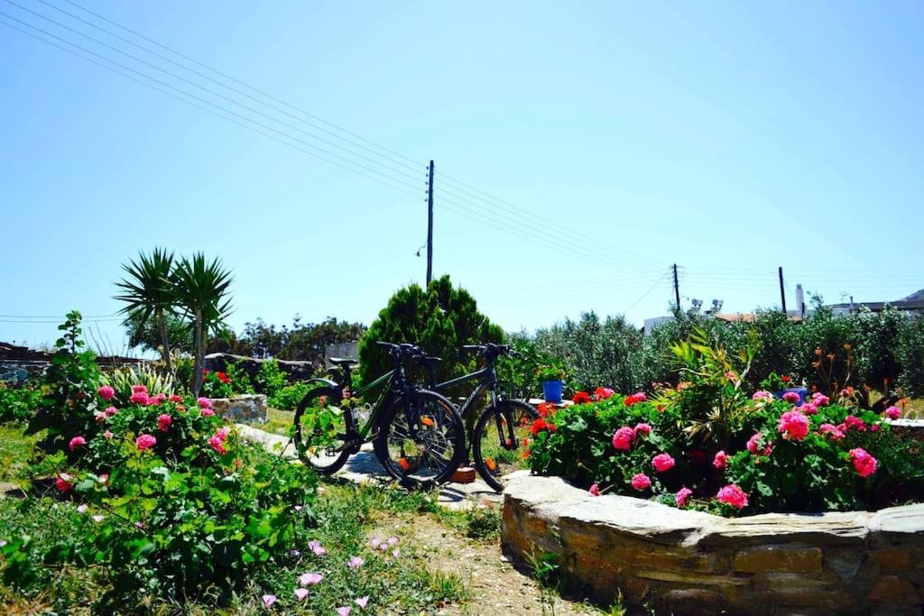 Cozy, Newly Renovated Apartment In Gavrio. מראה חיצוני תמונה
